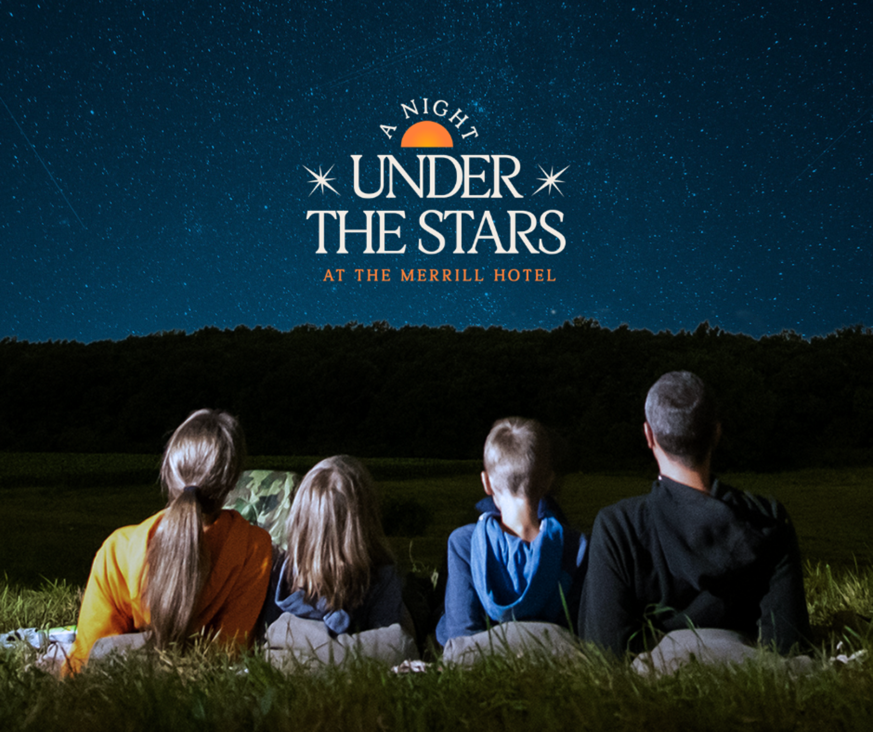 a group of people sitting in grass looking at a starry night